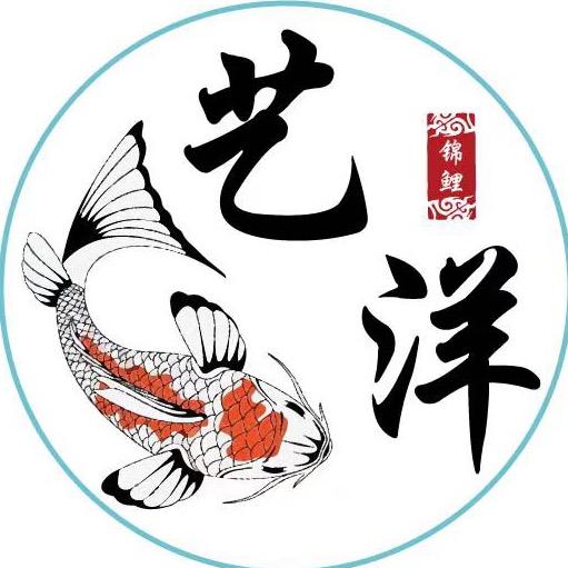 艺洋锦鲤