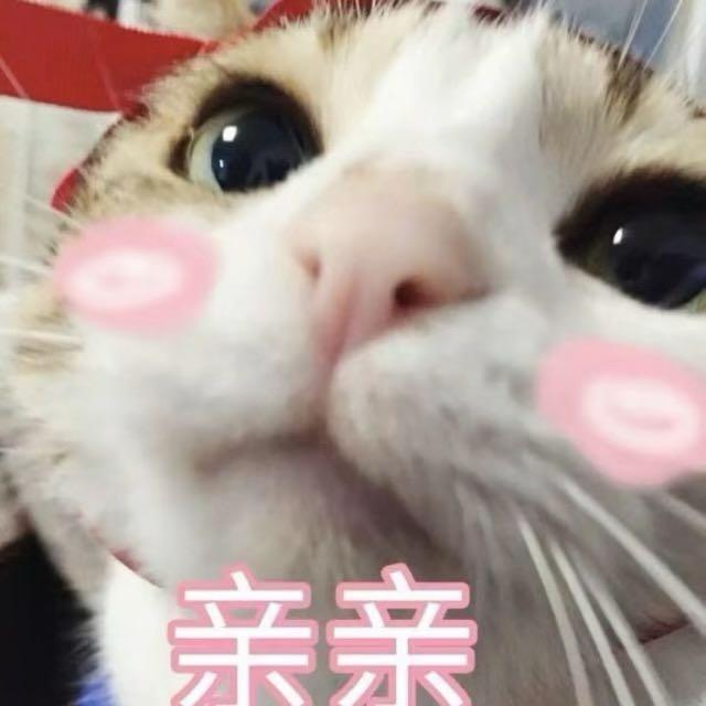 小钰的欲🐟（舞蹈版）