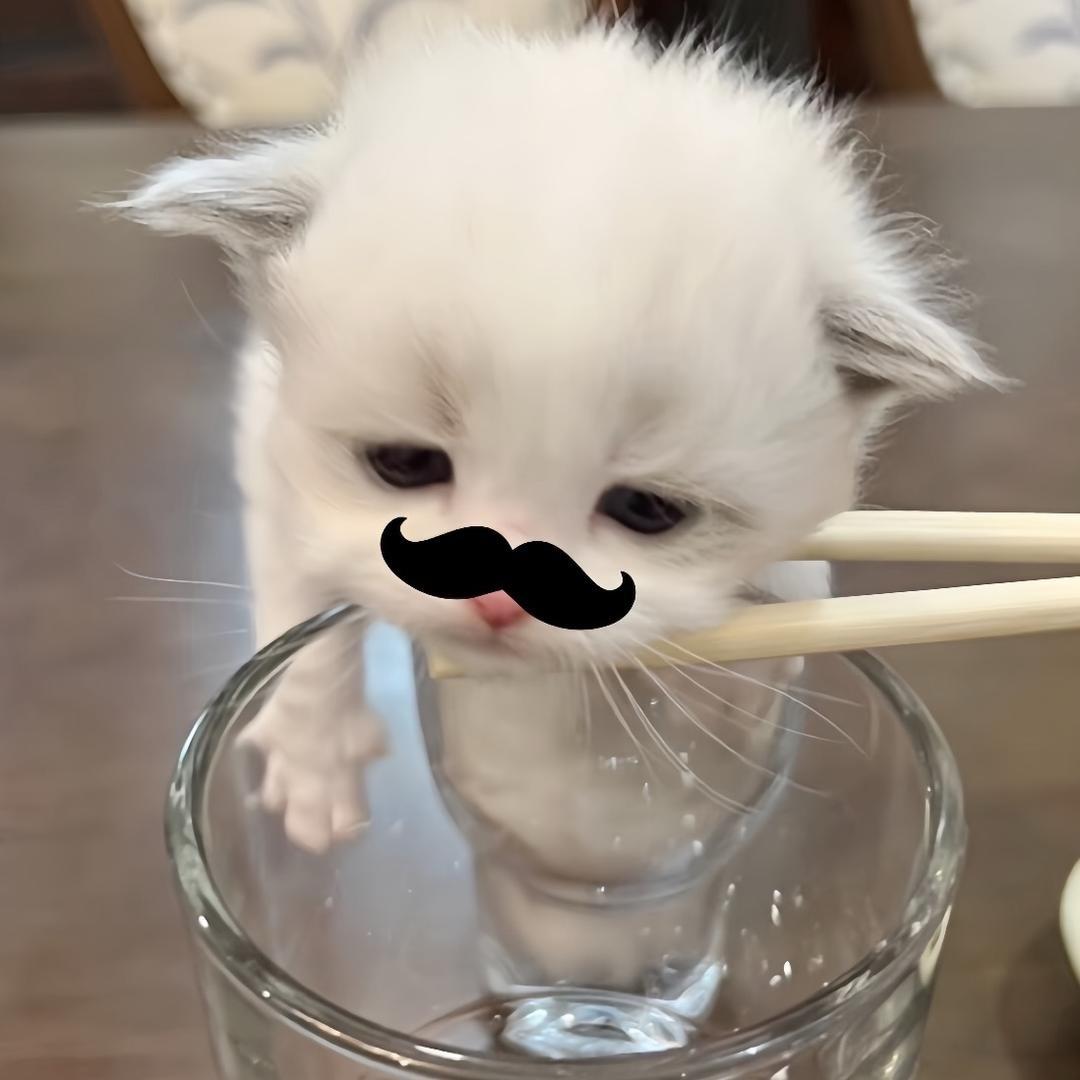 说我就噜噜脸