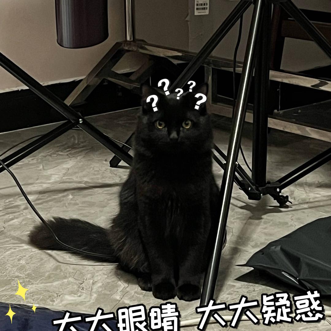 鑫鑫淼淼-