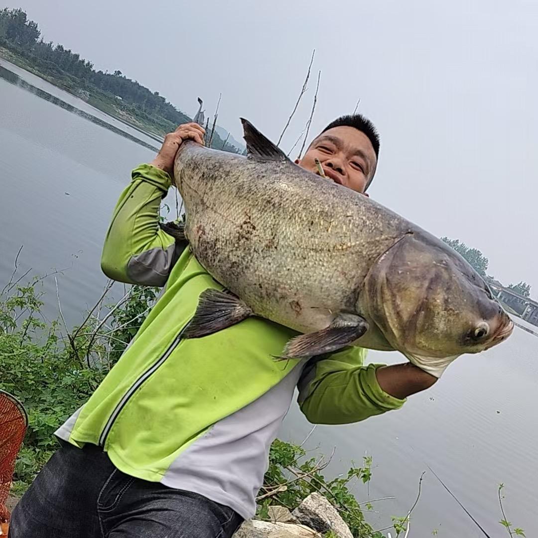 研究淡水生物