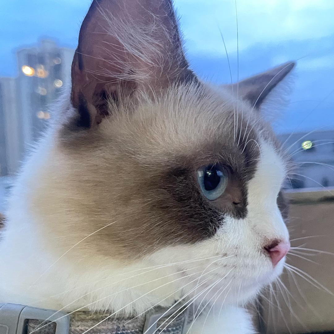 湫❤️