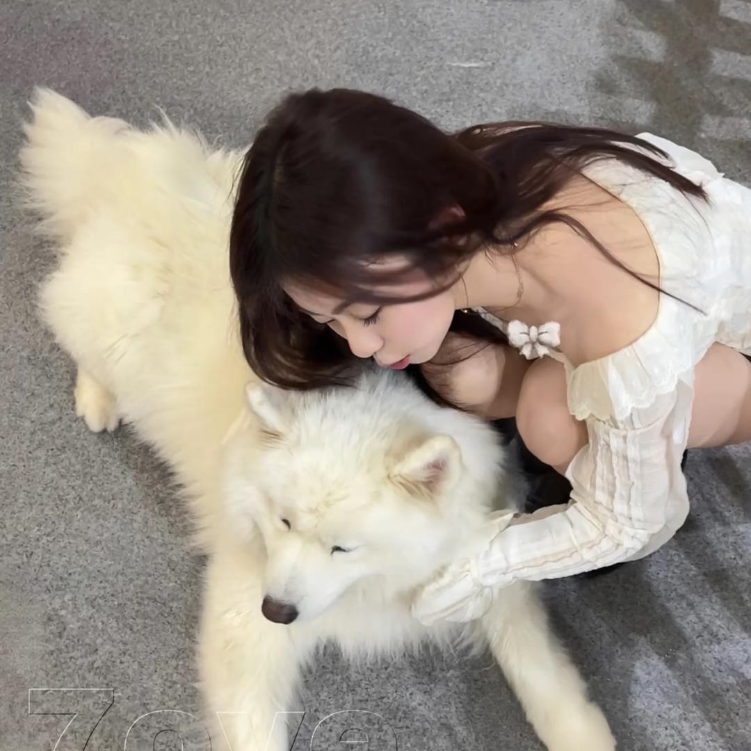 小y