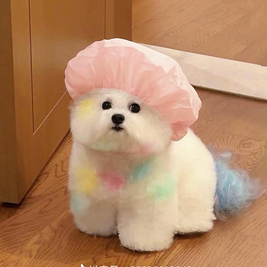 小梁.