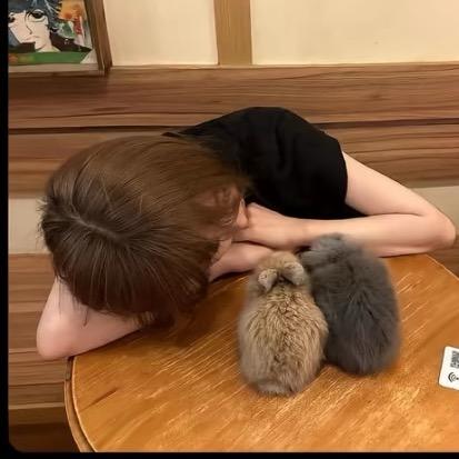 中国移不动