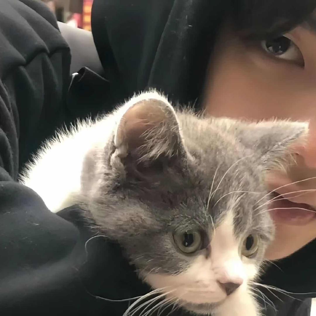 Jin.