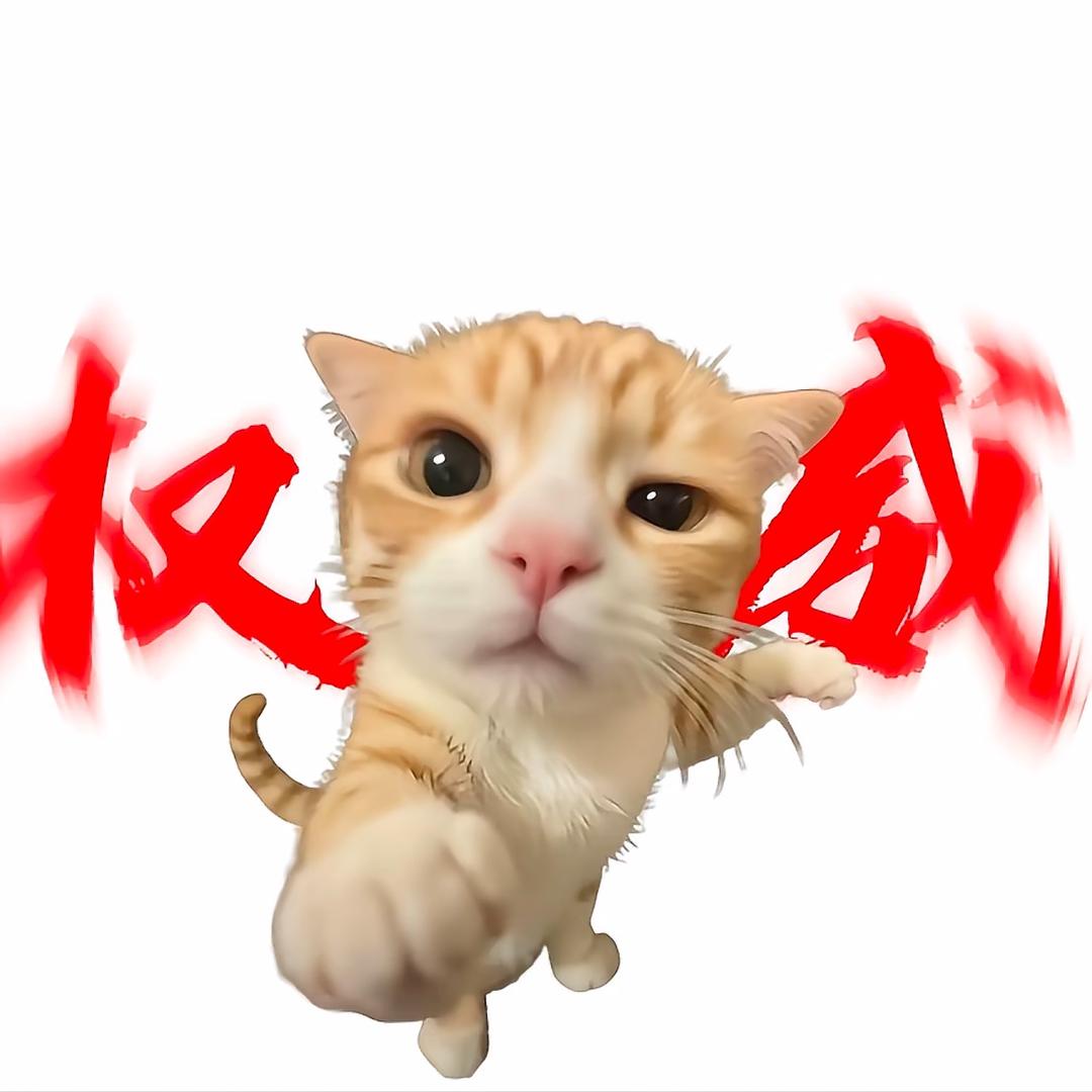 猫meme富贵