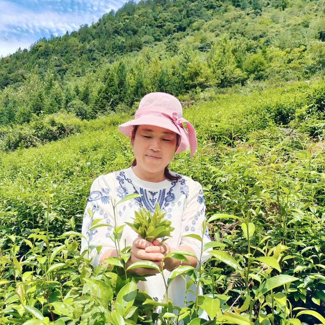建始县山野茶厂