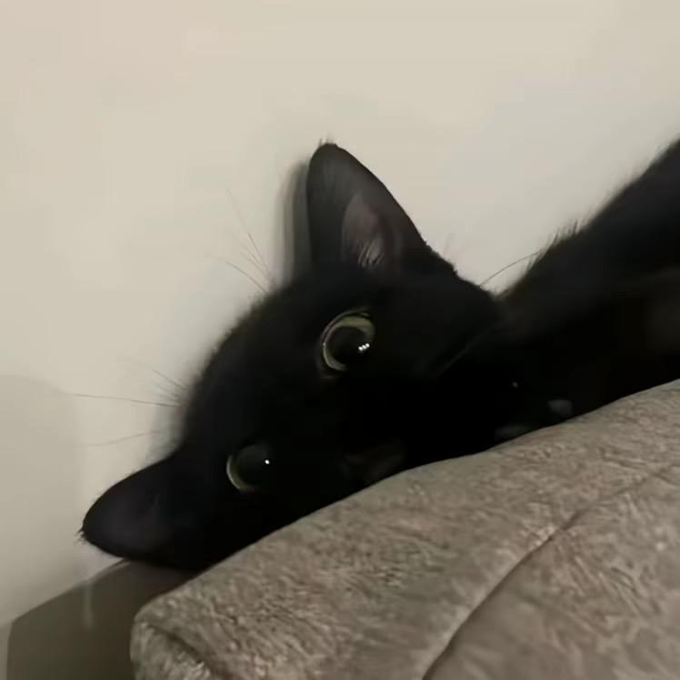 镇赉漂染298米🛑