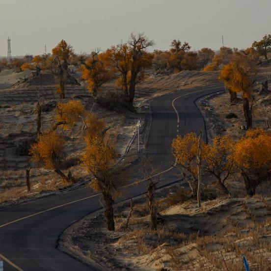 鲜艳影楼后期制作
