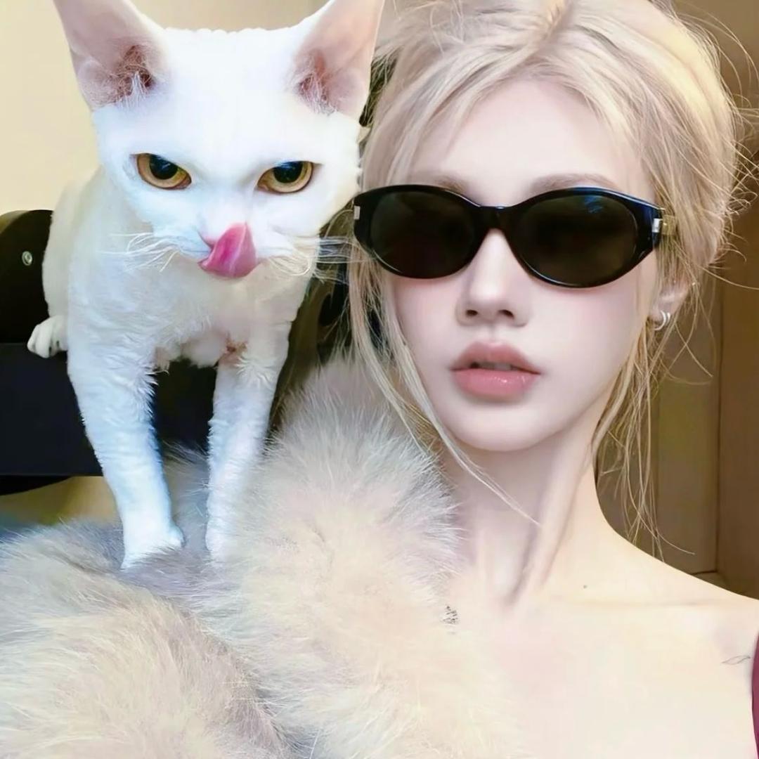 温温猪🐽