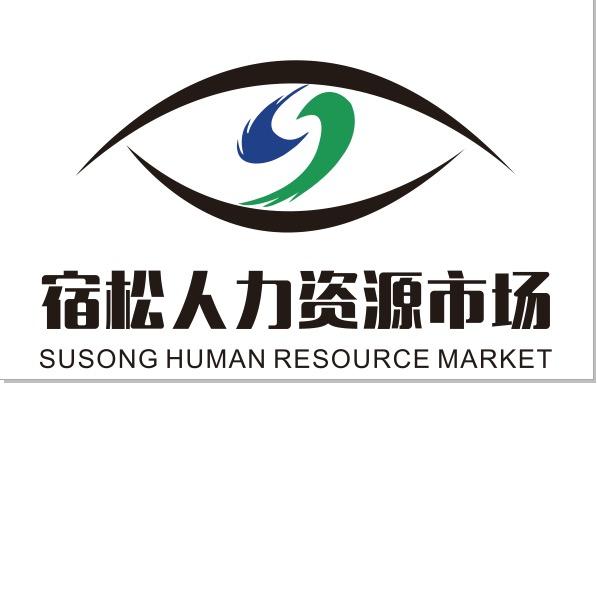 宿松人力资源有限公司