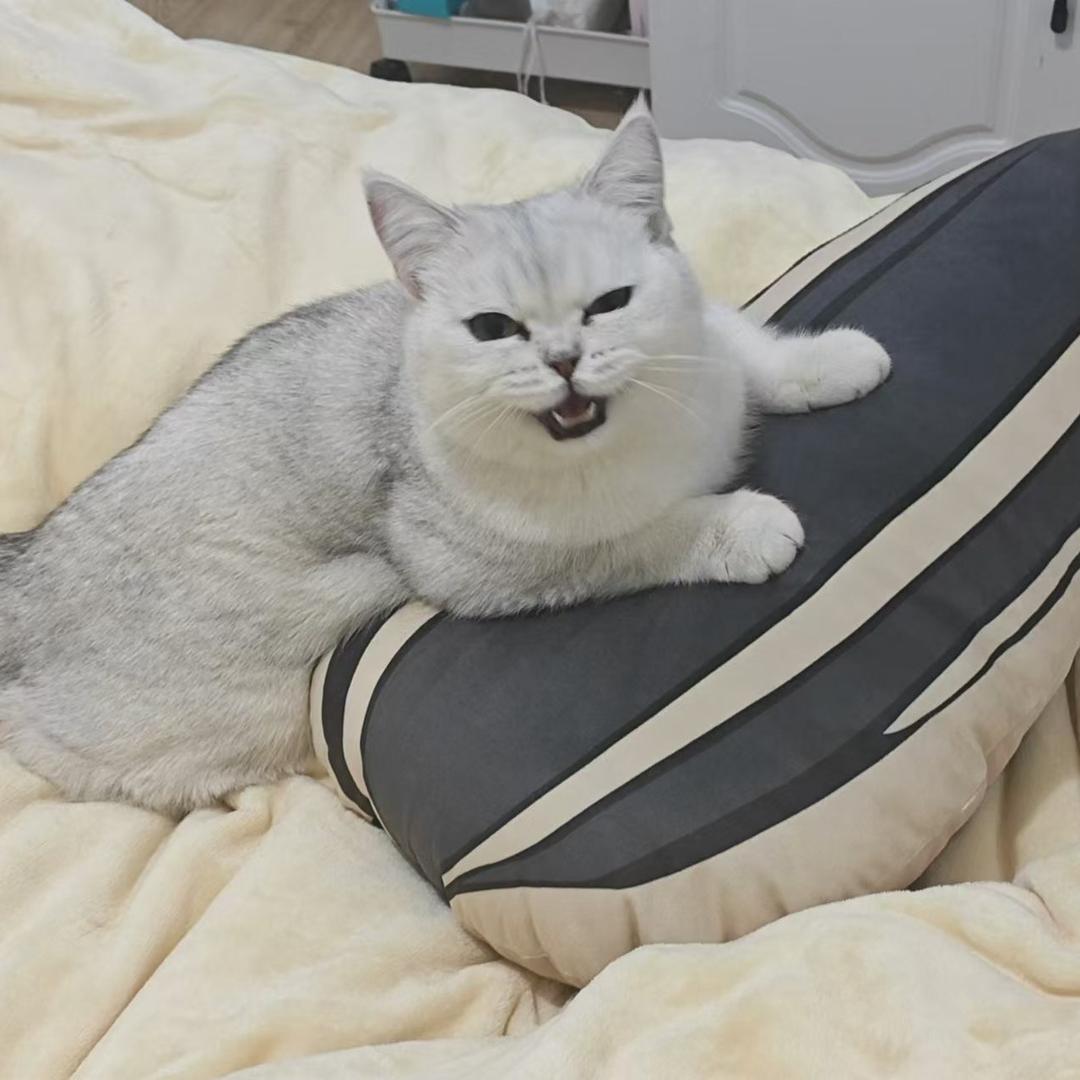 旺仔可不是面团捏的