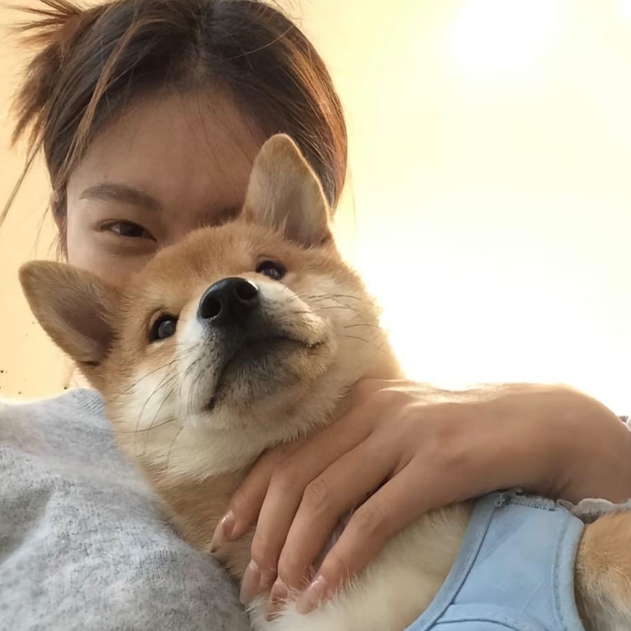 碎灵渊