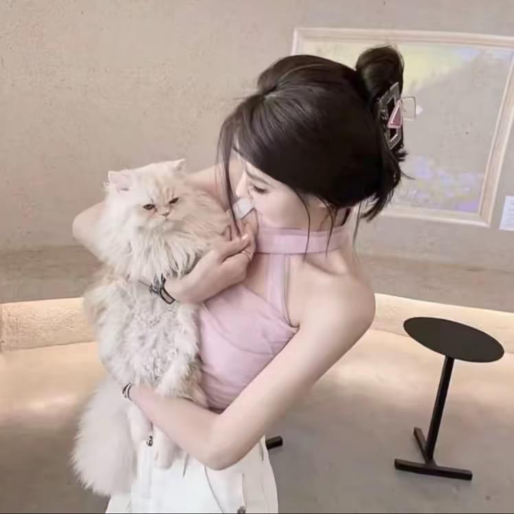 菊