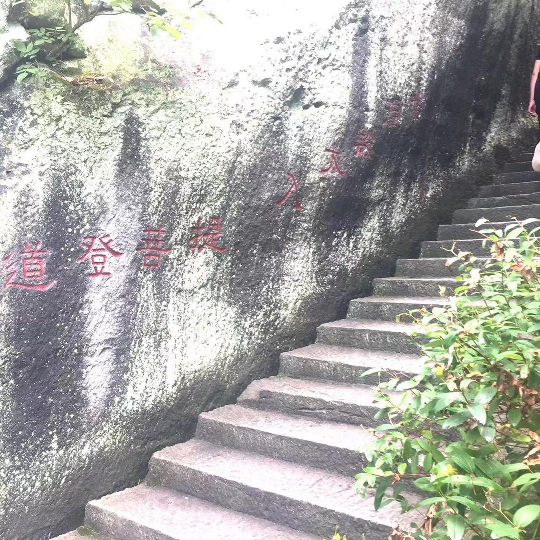 果果宝贝