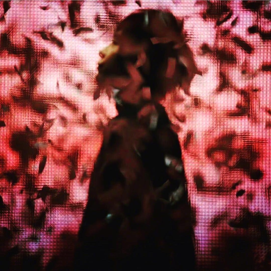 星星说