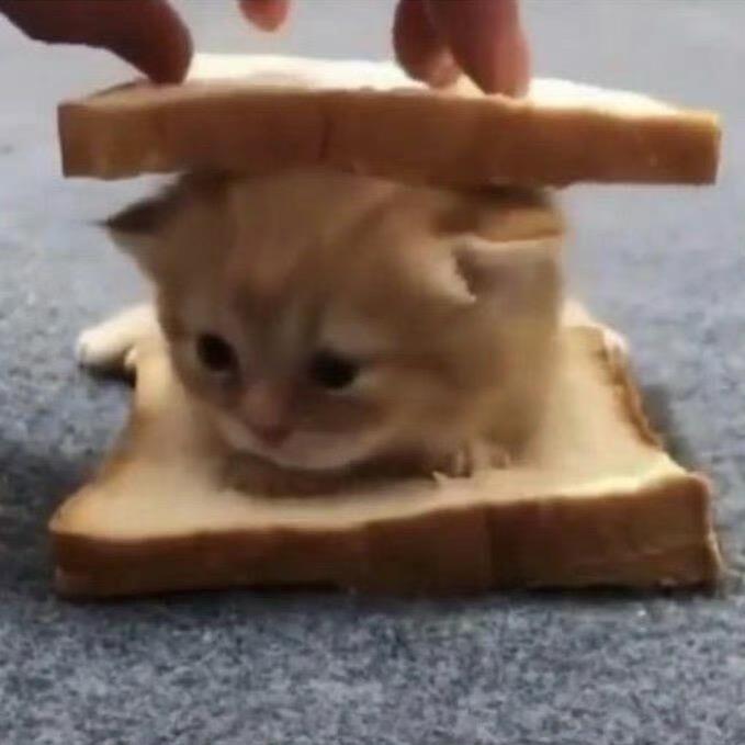 callme发呆侠