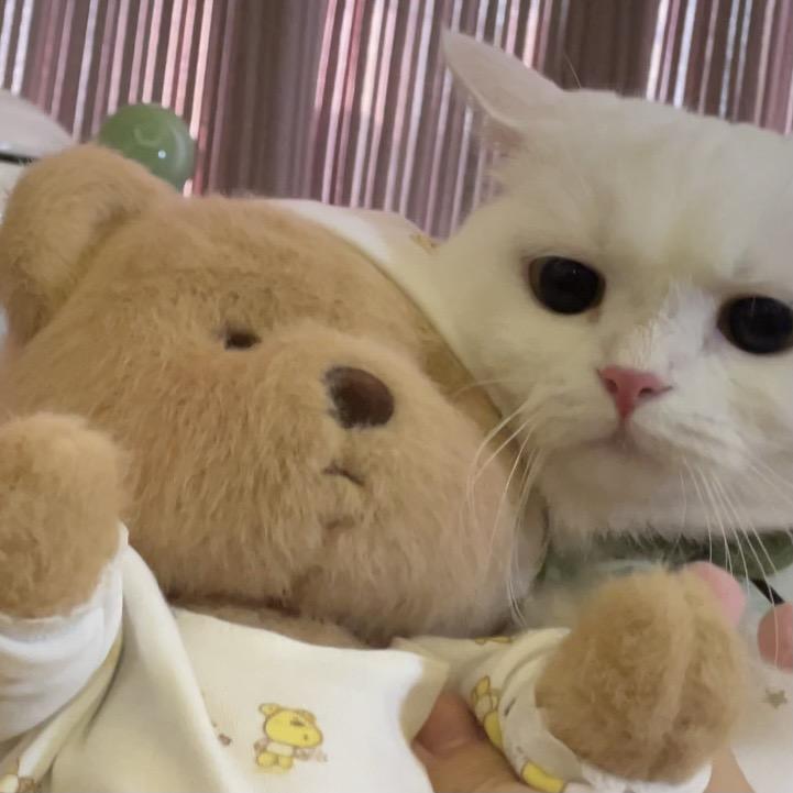 奶盖和九爷@抖音