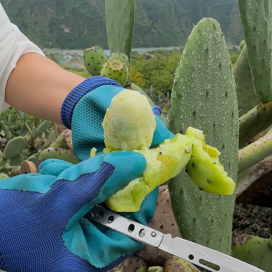 七淘鲜生特色水果