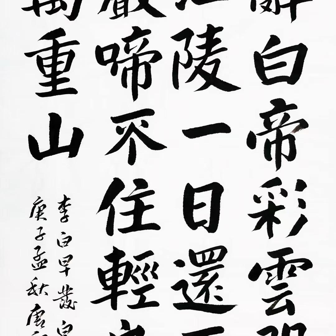 CHINA山茶花开（视频号）
