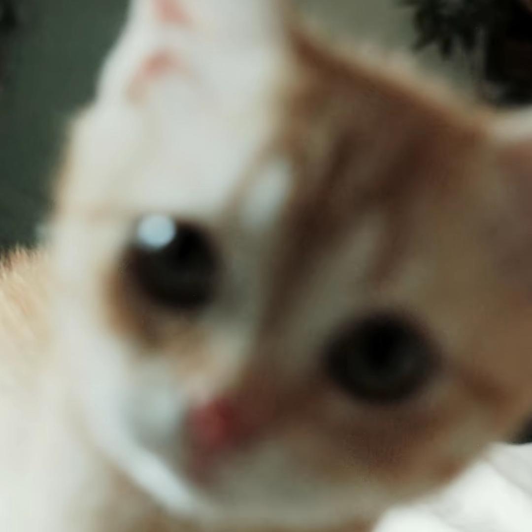 ￴ ￴￴￴￴￴￴ ￴￴￴ ￴ ￴￴￴