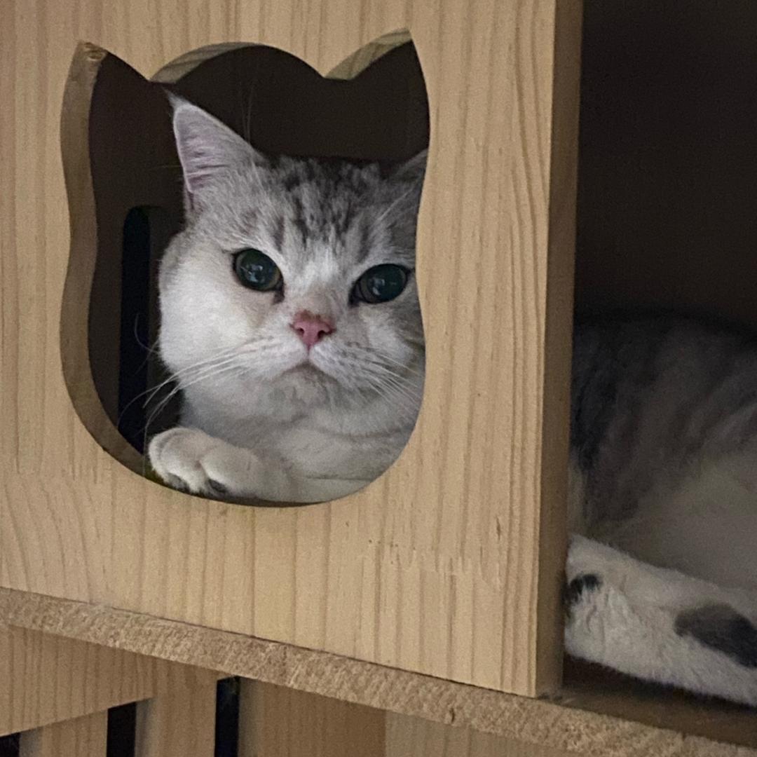 苏打水
