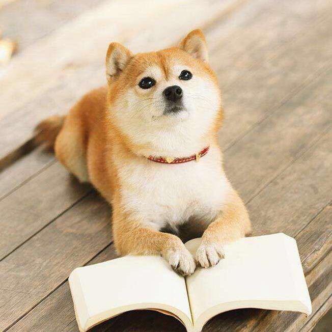爱钓鱼的音响师