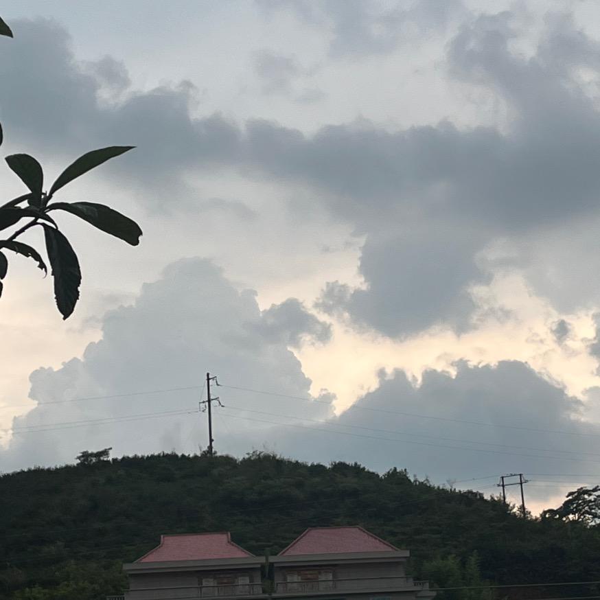 章航百货