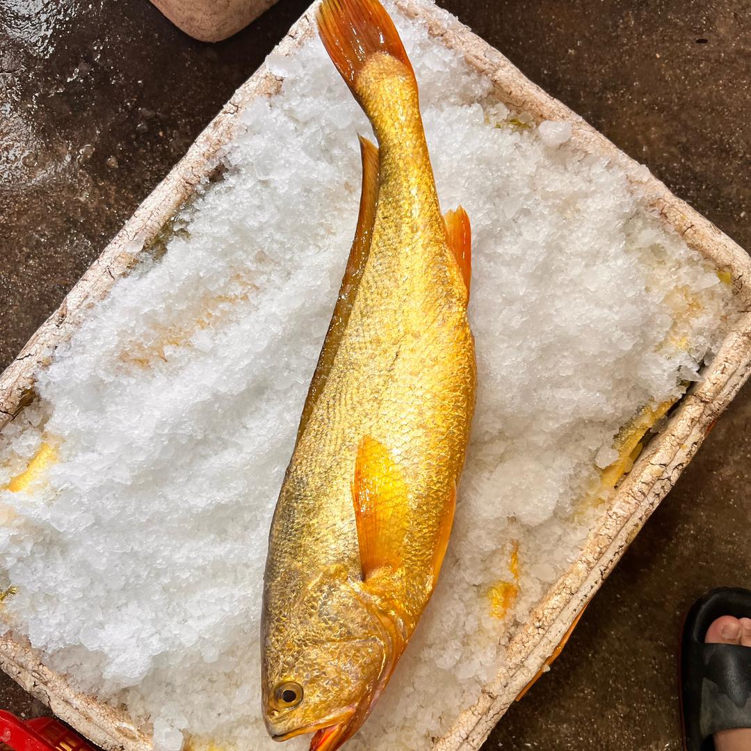 舌尖上的漳浦蚜山海鲜