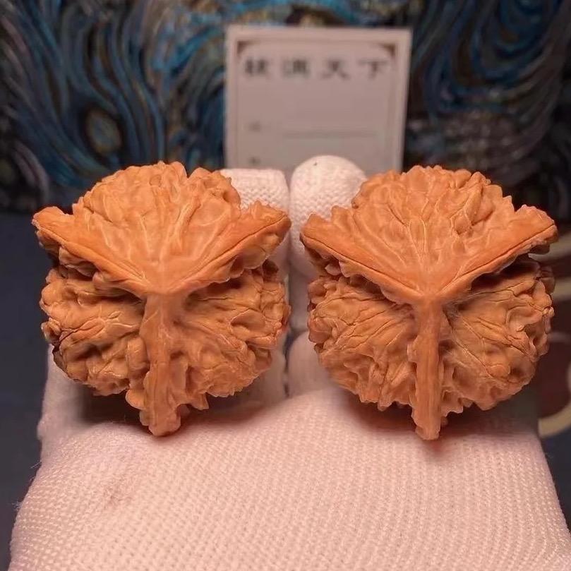 无能的丈夫开青皮