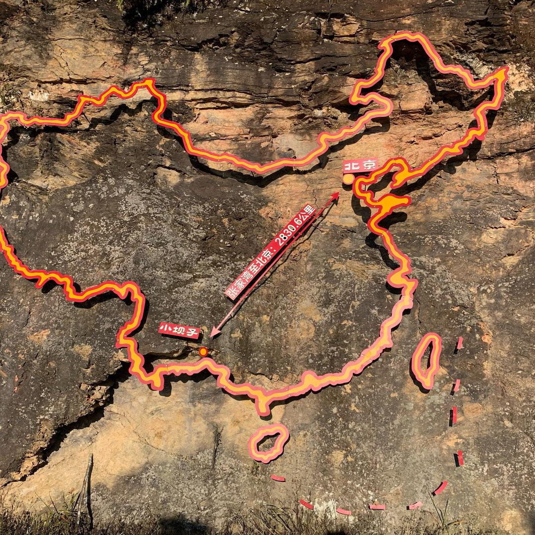 绿豆蝇🪰（知恩图报）版