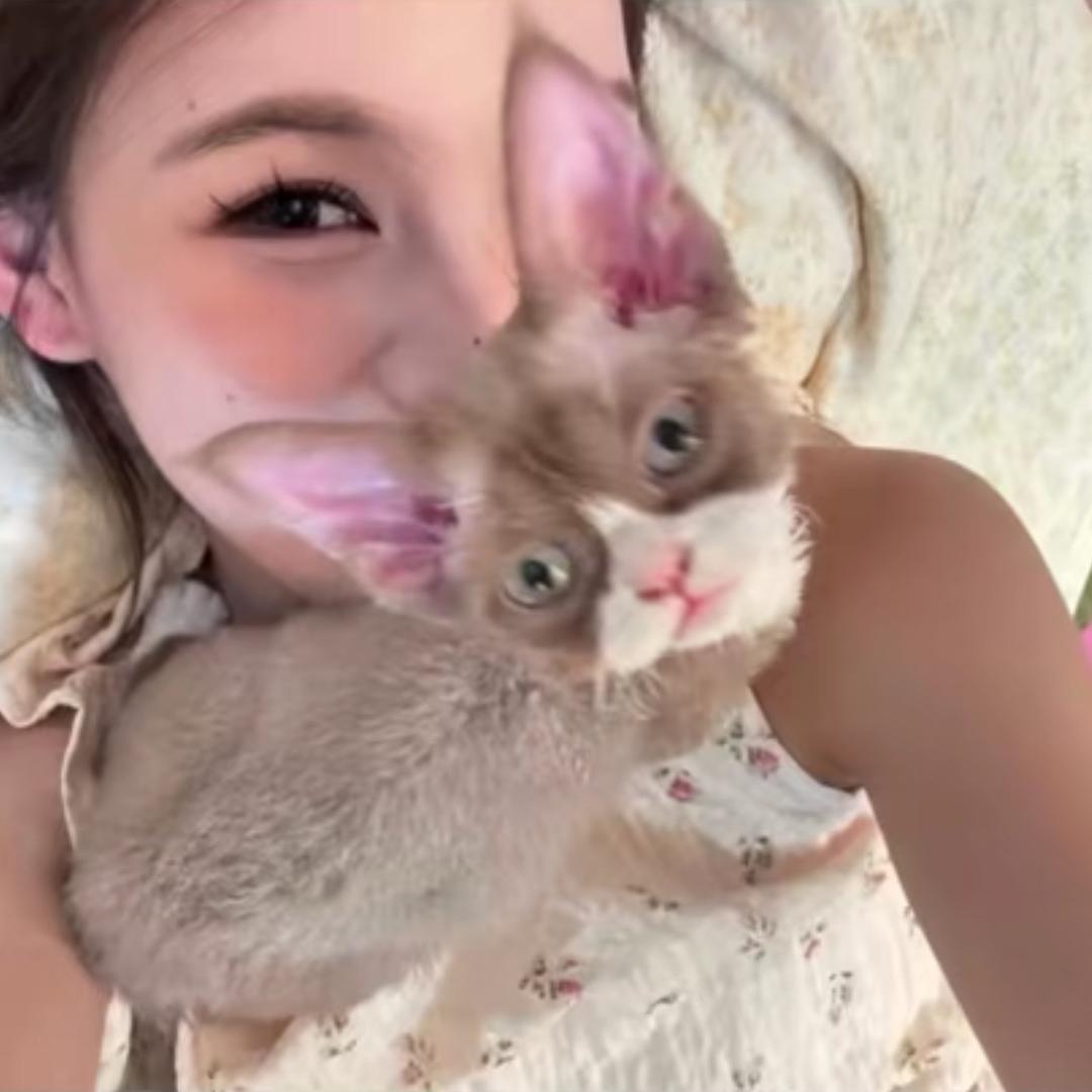什么🐑