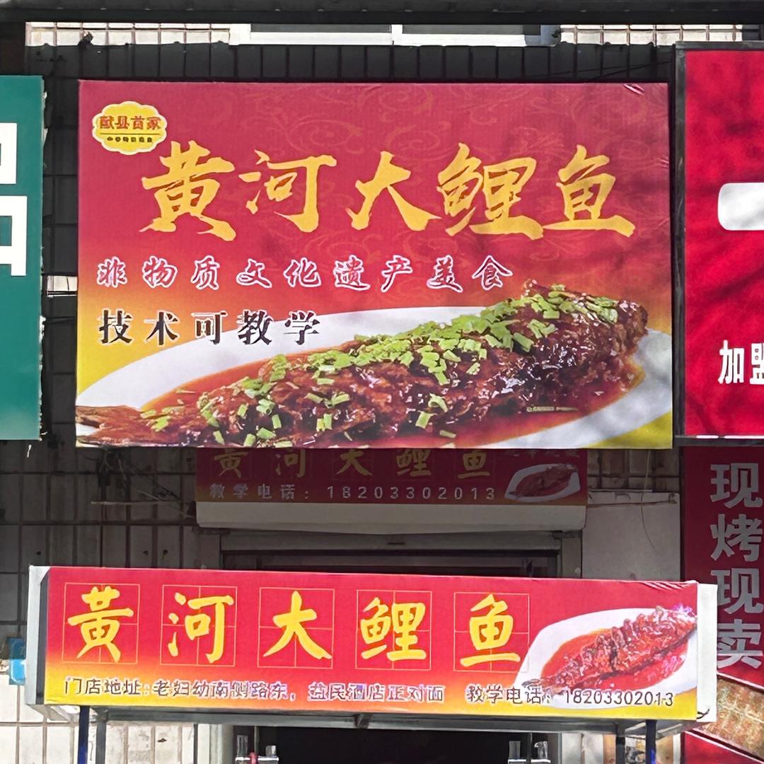 黄河大鲤鱼官方号
