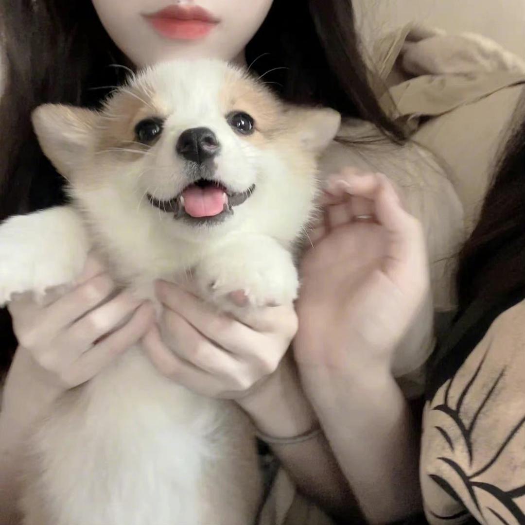 吃一口柚子