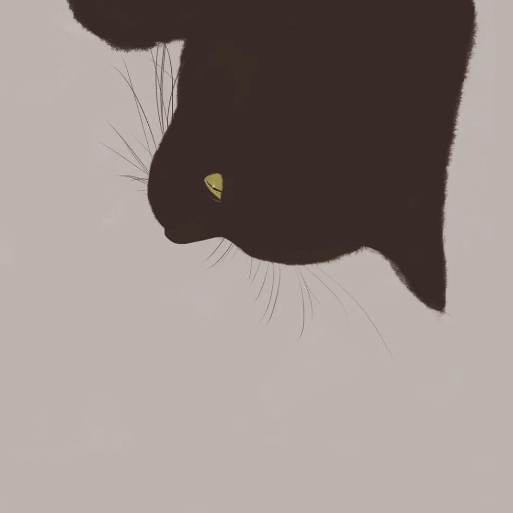 @     ——么凹猫🐱