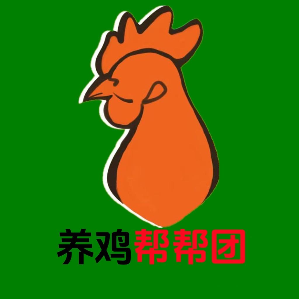 养鸡帮帮团