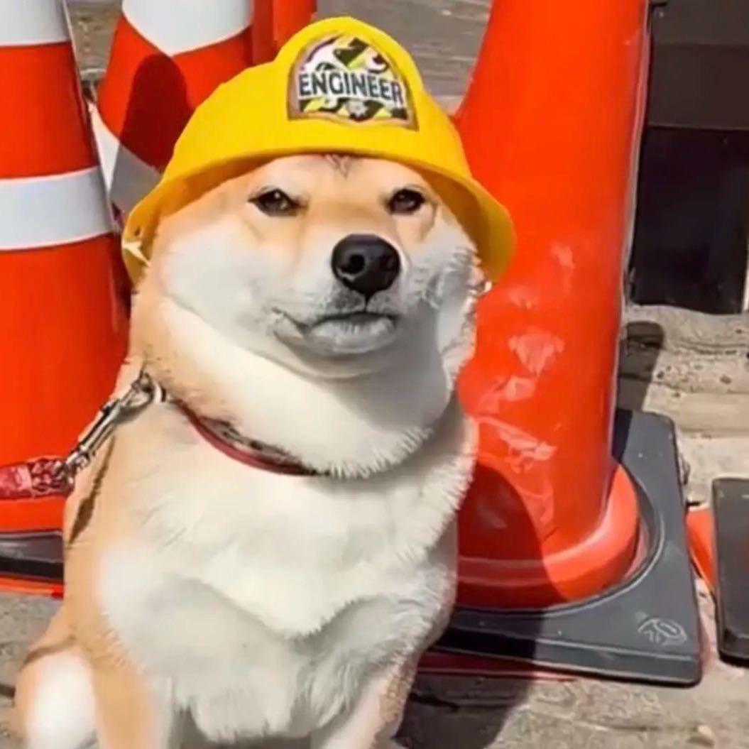 暗中观察