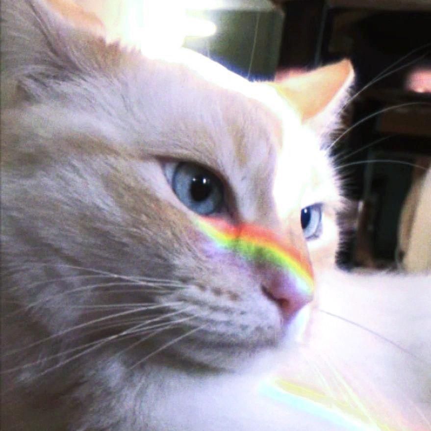LambDoll ³⁰⁰⁰