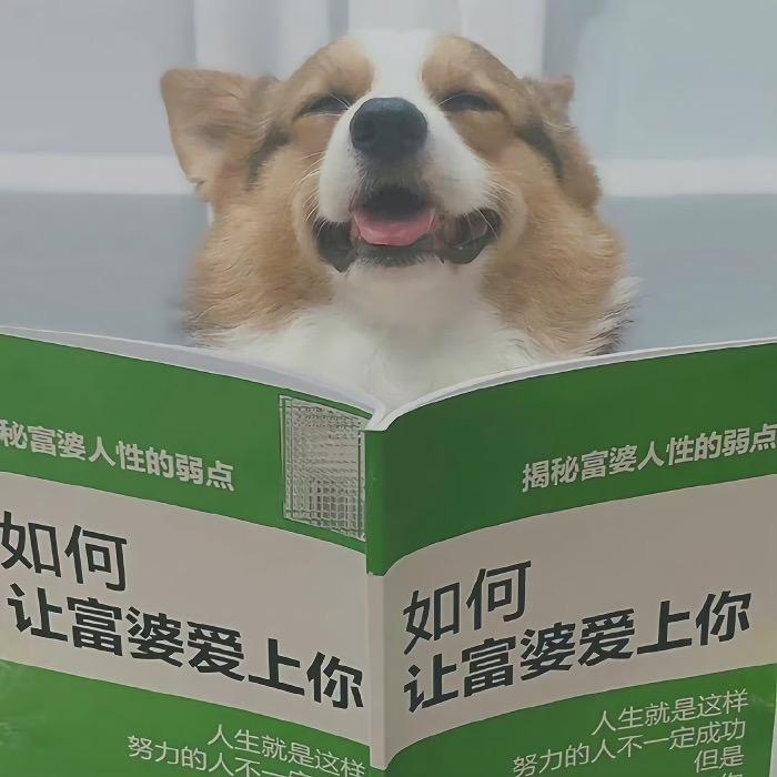 月明白鹭飞