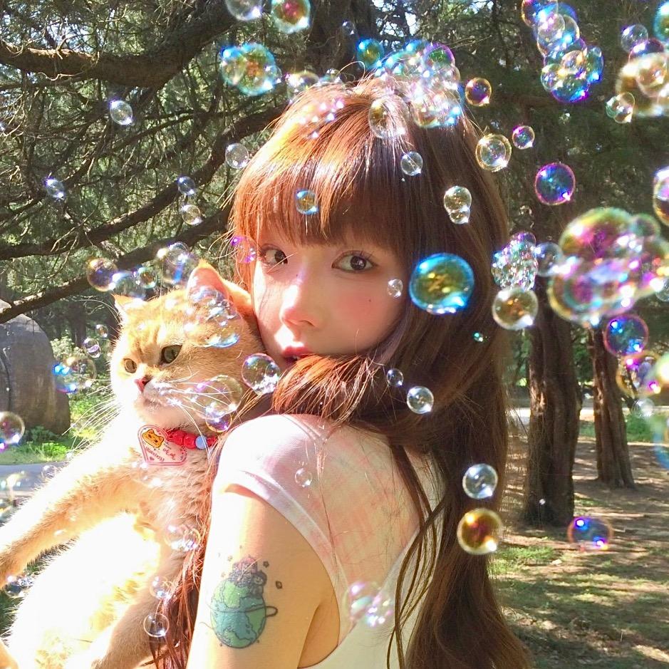 dokii