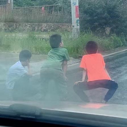 是落落吖
