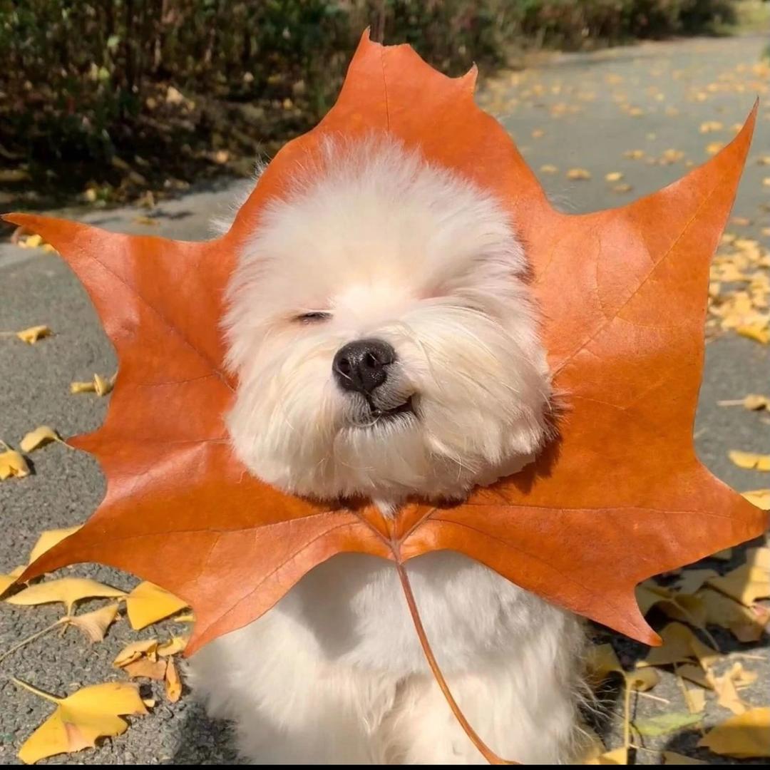 七七七_-