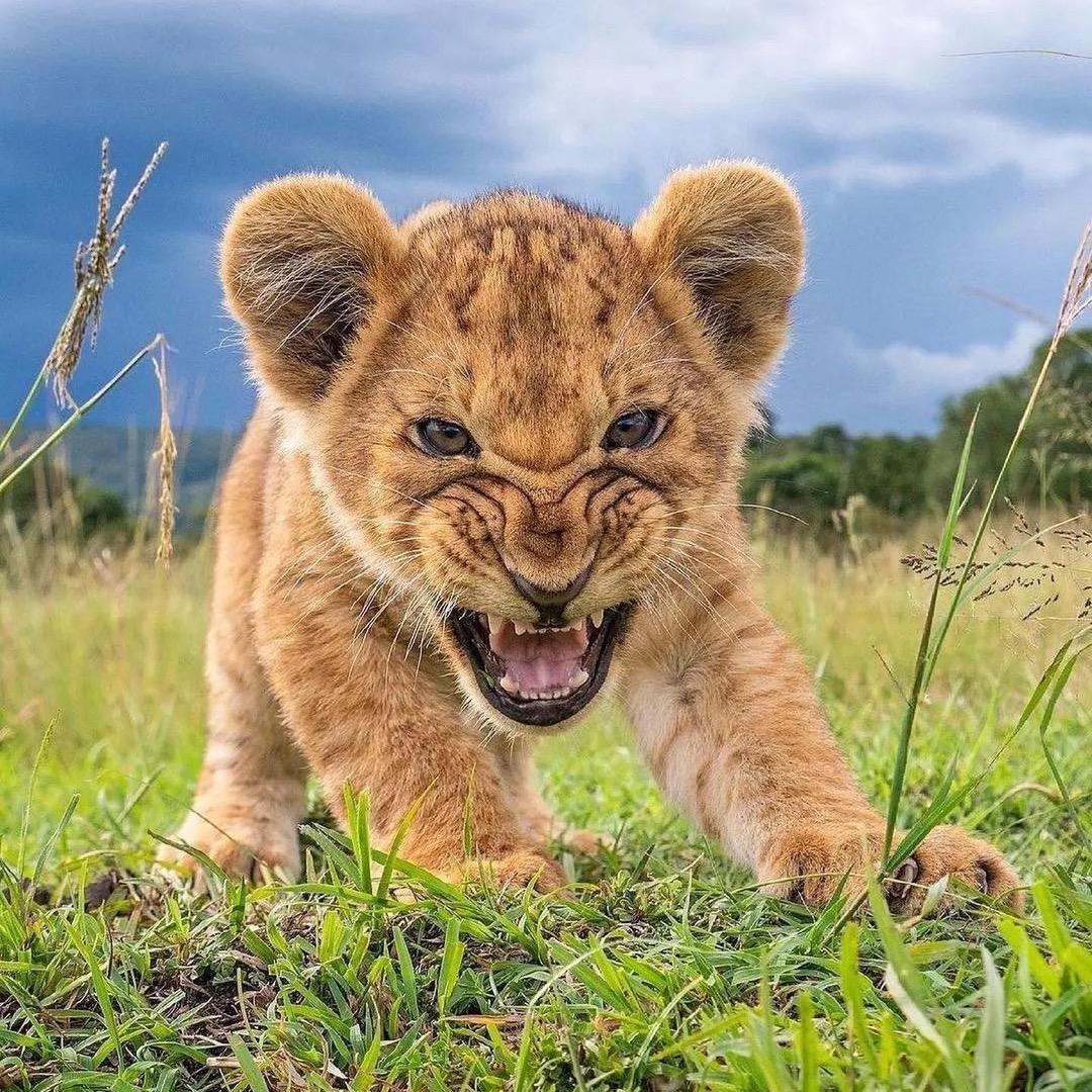 奇怪奇怪真奇怪