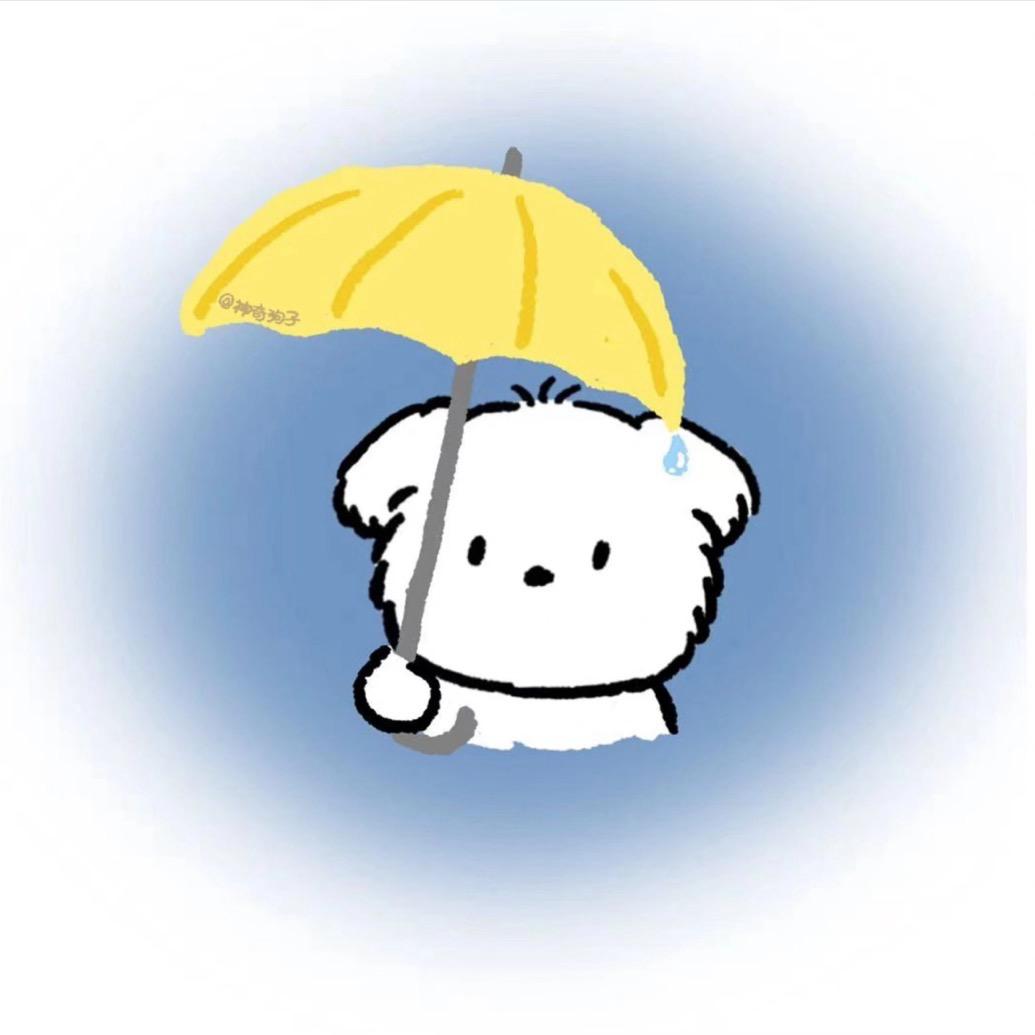 小狗不淋雨☔️