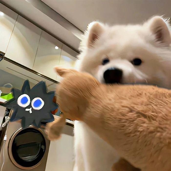 去码头整点薯条