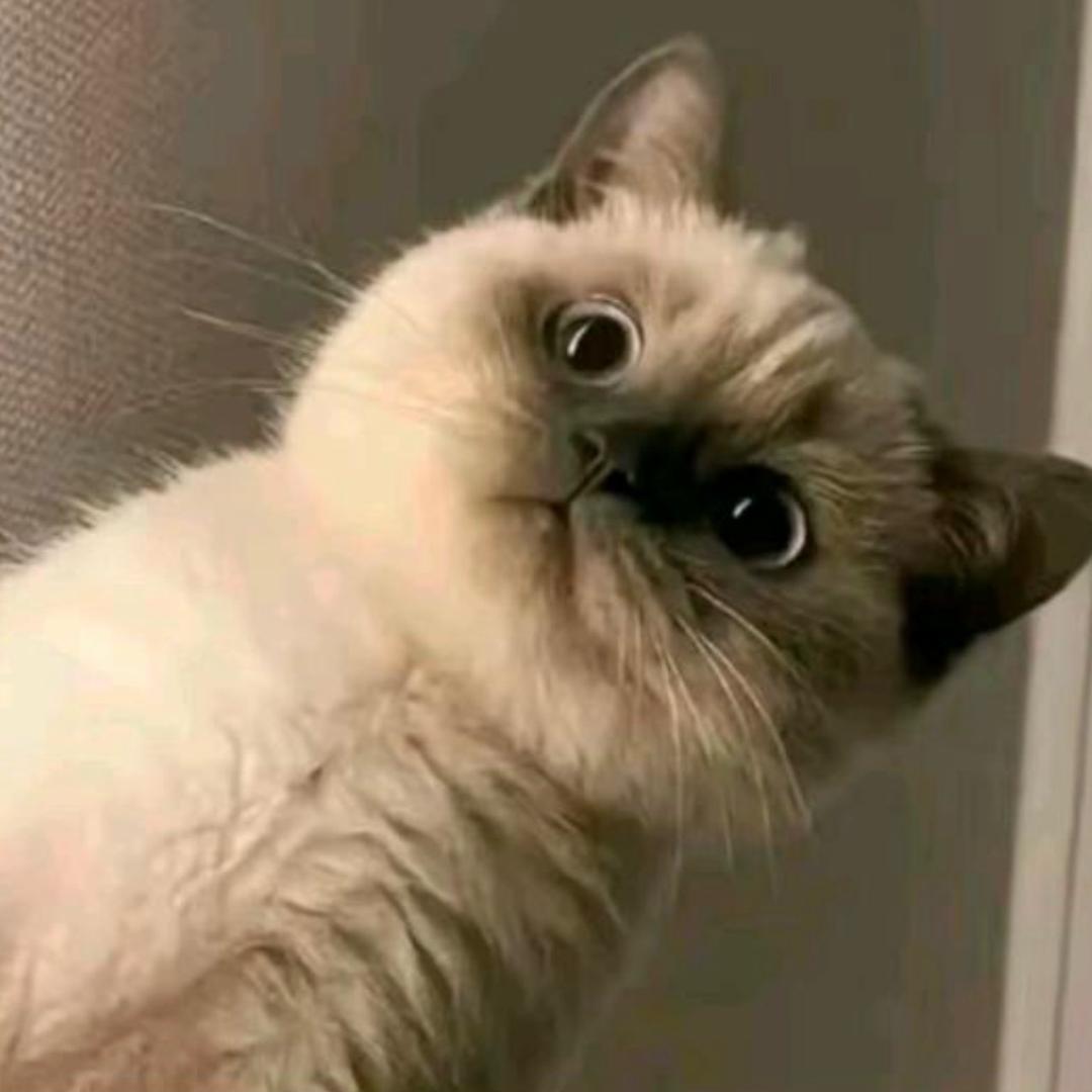 咕噜咕噜冒泡泡