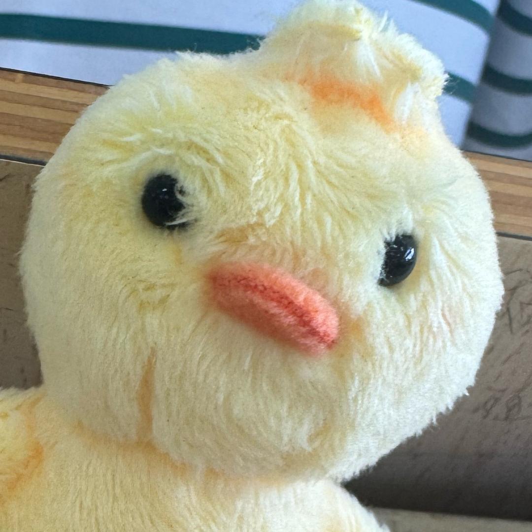 冬痕隐.