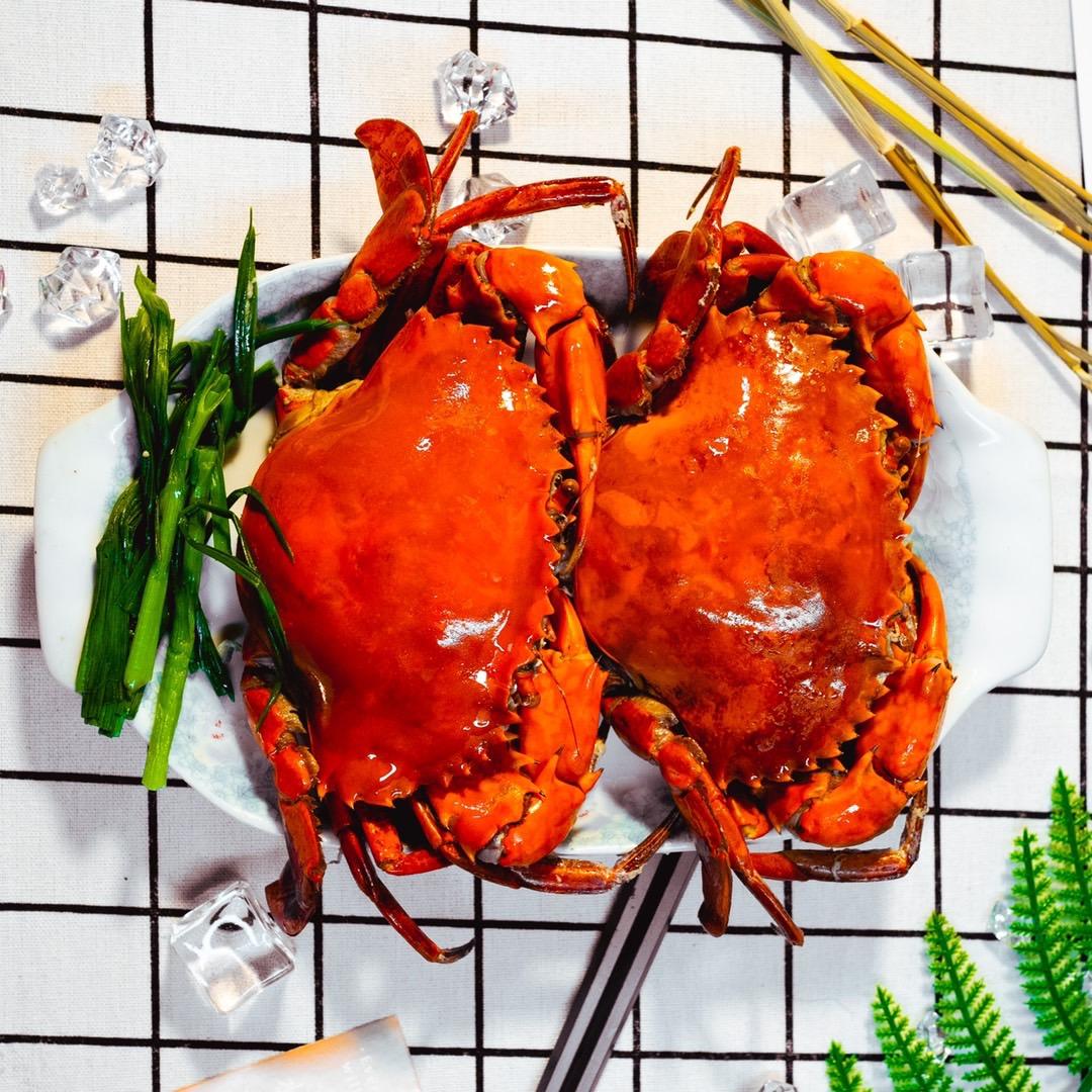 正宗三门青蟹批发（喂的贝壳版）