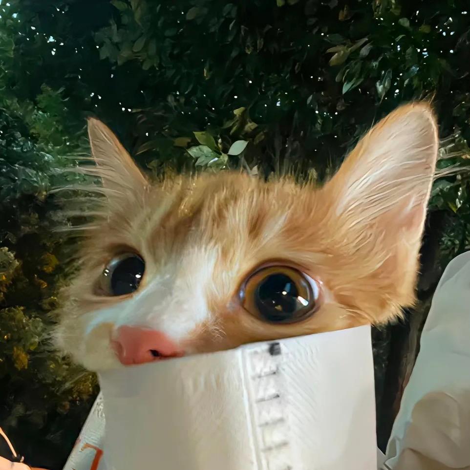 省好多